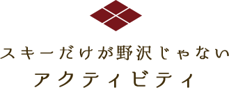 スキーが野沢じゃない　アクティビティー