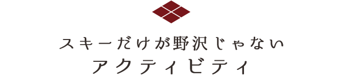 スキーだけが野沢じゃない　アクティビティ